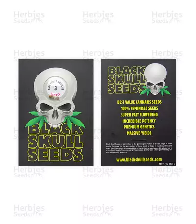 Girl Scout Cookies feminized seeds (Blackskull Seeds)