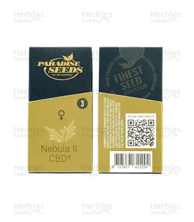 Nebula II CBD (Paradise Seeds)