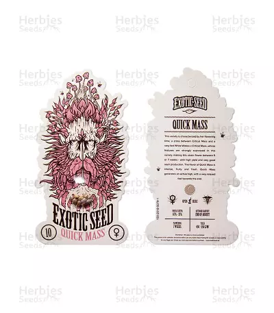 Quick Mass Seeds