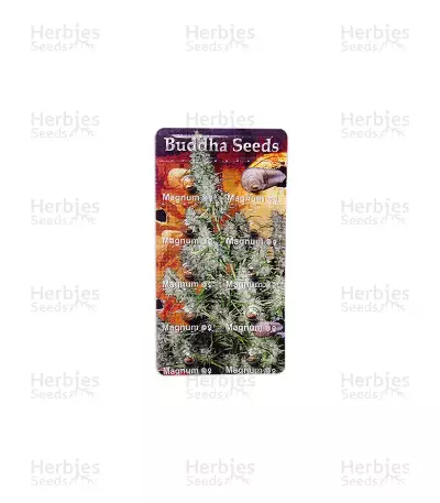 Buddha Magnum Auto Seeds