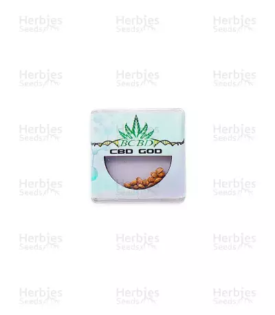 CBD God semi regolari