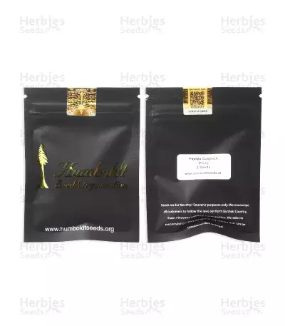 Florida Gaspack Seeds