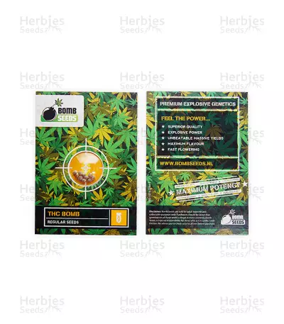 Graines de cannabis THC Bomb Regular (Bomb Seeds)