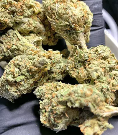 Amnesia Seeds (Seedstockers)