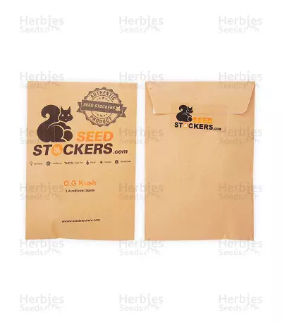 O.G. Kush Autoflower feminized seeds (Seedstockers)