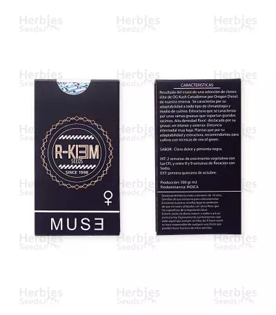Muse Seeds