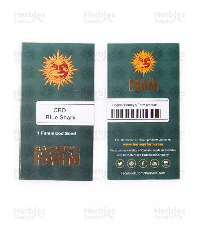 Graines de cannabis CBD Blue Shark (Barney's Farm)