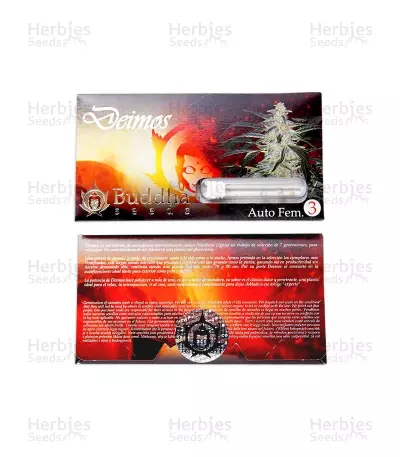 Graines de cannabis Buddha Deimos Auto (Buddha Seeds)