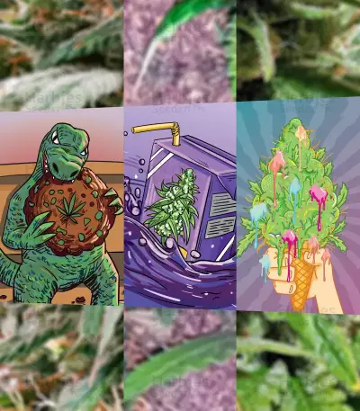 Auto Mix Pack #1 (Herbies Seeds)
