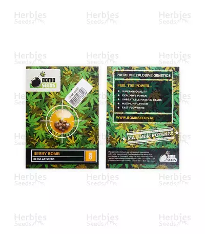 Berry Bomb Regular (Bomb Seeds)