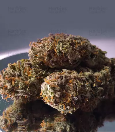 Grandaddy Purple