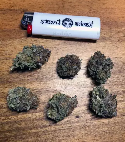 Z feminized seeds (Original Sensible Seeds)