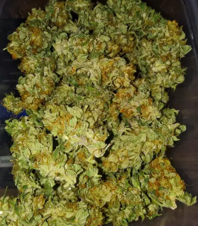 Do-Si-Dos Cookies Seeds