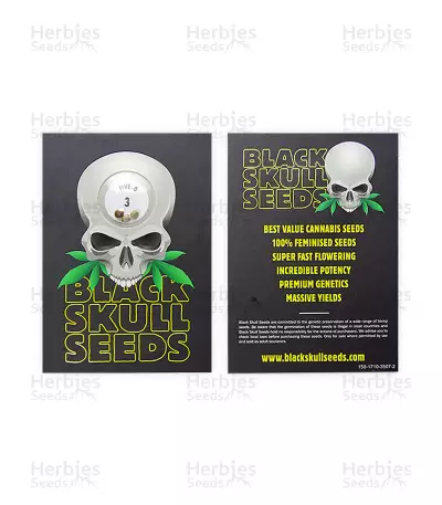 Graines de cannabis Five-O (Blackskull Seeds)
