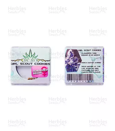 Girl Scout Cookies (BC Bud Depot Seeds)