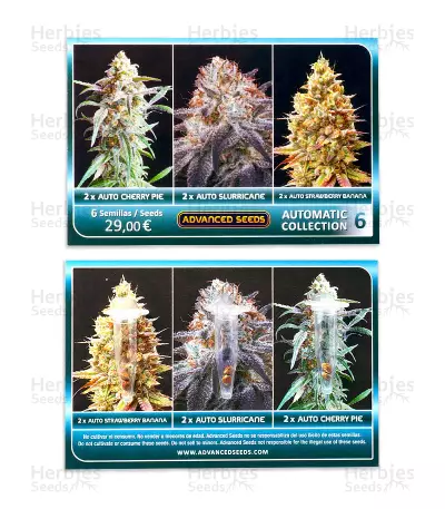 Automatic Collection #6 feminized seeds