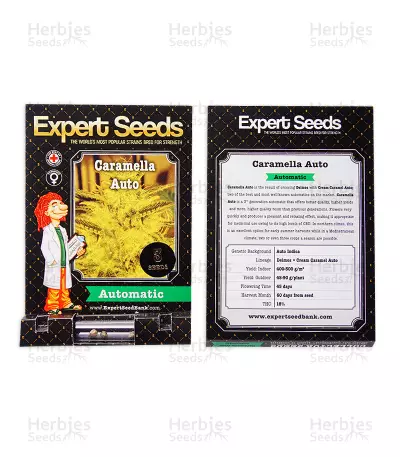 Caramella Auto (Expert Seeds) Seeds