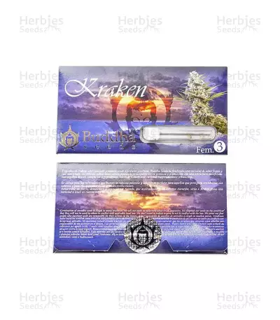 Graines de cannabis Buddha Kraken (Buddha Seeds)