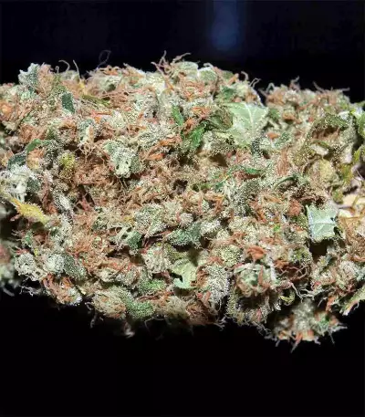 Fruity Juice Seeds