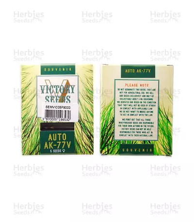 Auto AK-77V Seeds