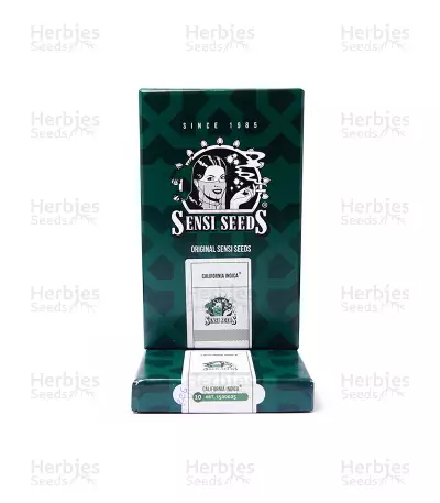 Graines de cannabis California Indica regular (Sensi Seeds)