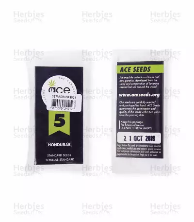 Honduras Seeds