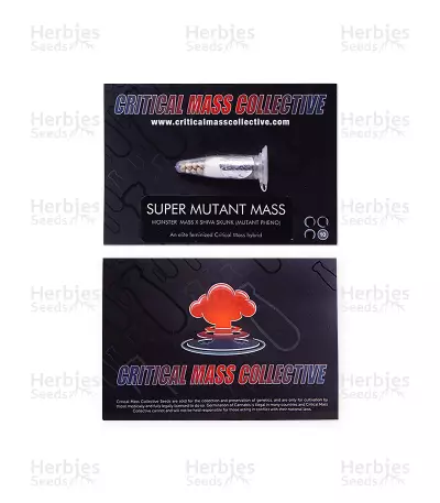 Super Mutant Mass (Critical Mass Collective Seeds)
