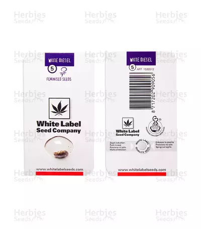 Semi femminizzati White Diesel