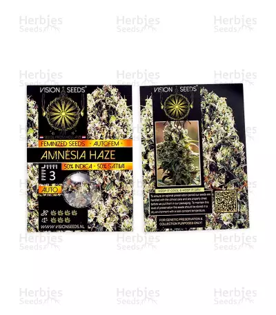 Amnesia Haze Auto (Vision Seeds)