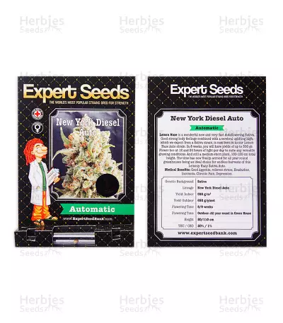 New York Diesel Auto (Expert Seeds) Seeds