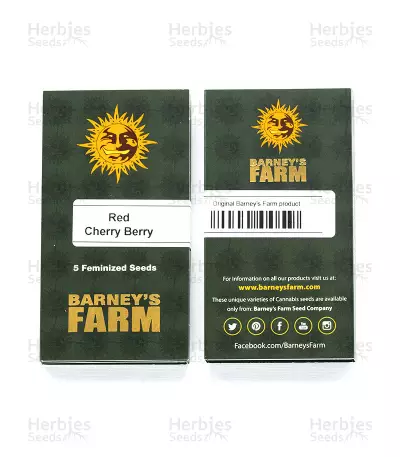 Red Cherry Berry (Barney's Farm)