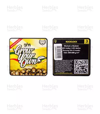 Graines de cannabis Rocklock (DNA Genetics)