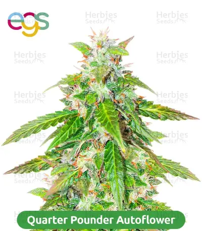 Autopilot Harvest Bundle #3