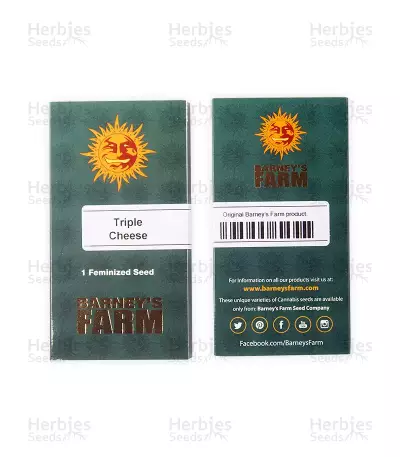 Triple Cheese Seeds - Cannabis Strain Seeds for Sale