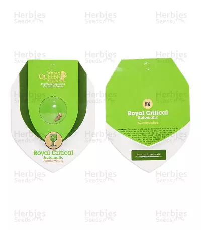 Royal Critical Automatic feminized seeds