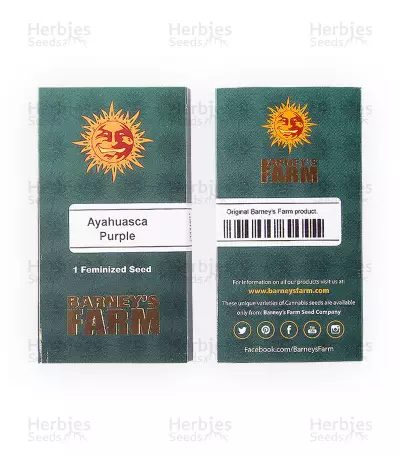 Ayahuasca Purple