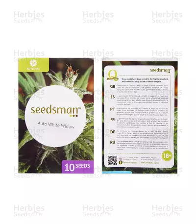 Auto White Widow feminized seeds (Seedsman)