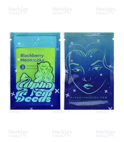 Blackberry Moonrocks Seeds (AlphaFem Seeds)