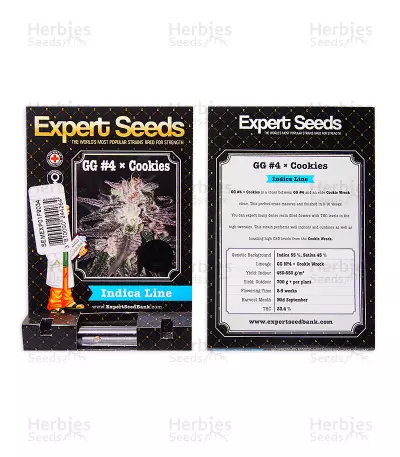 Gorilla Cookies feminized seeds (Expert Seeds)