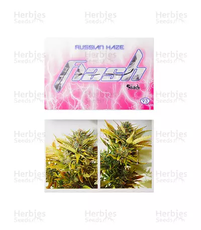 Russian Haze Auto Seeds