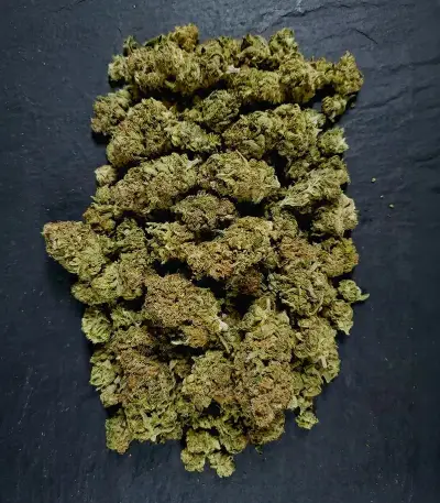 Wedding Cheesecake FF Seeds