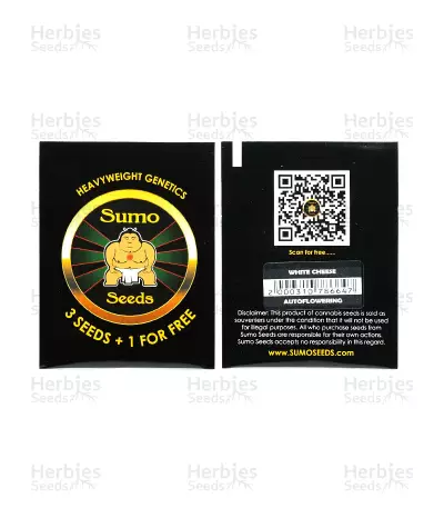 White Cheese Auto feminized seeds