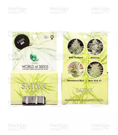 Graines de cannabis Sativa Pure Origin Collection (World of Seeds)