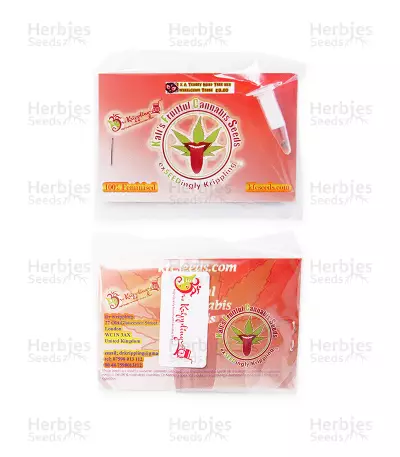 Cheesy Mist Tree (Teasy Mist Tree) (KFC Seeds)