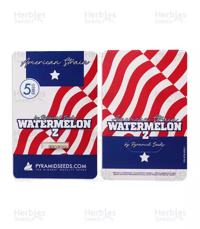 Watermelon Z feminized seeds