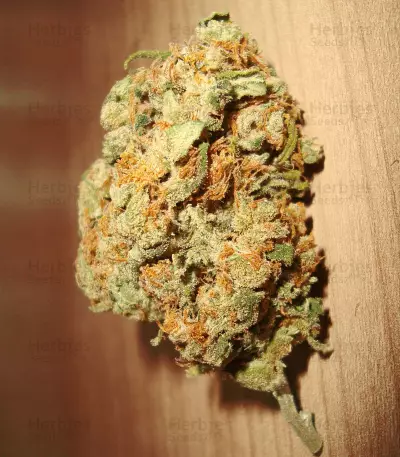 Silver Bubble (Reserva Privada)