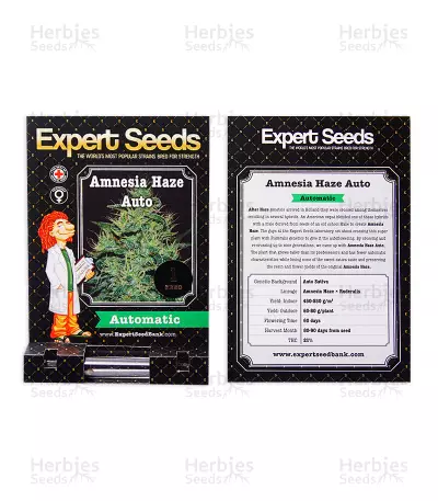Amnesia Haze Auto strain seeds