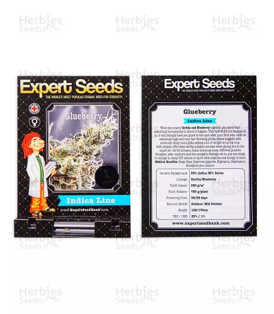 Glueberry (Expert Seeds) semi femminizzati