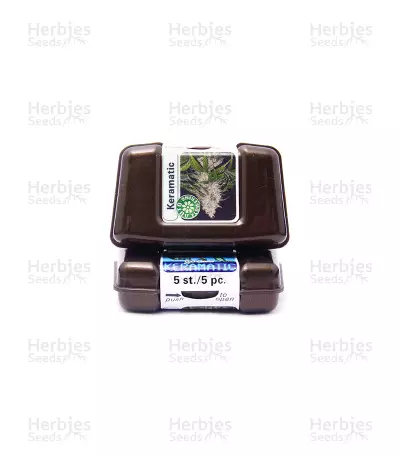 Keramatic Auto (Kera Seeds)