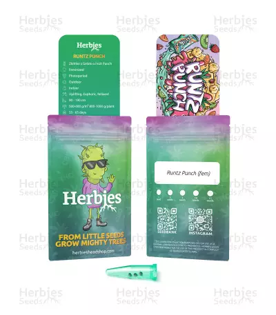 Runtz Punch Seeds (Herbies Seeds)